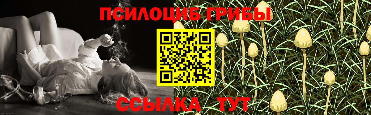 Галлюциногенные грибы Cubensis  Вход с VPN  как найти закладки  Балаково 
